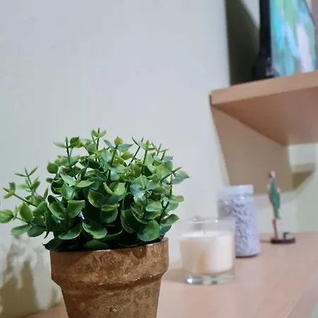 Apartamento Ex-block District Charming With Treeish Sorrounding View!